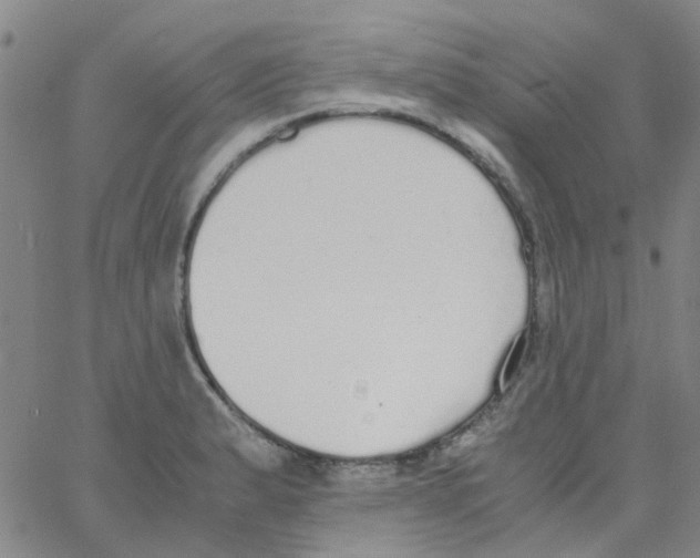 X0000062671183200601181853