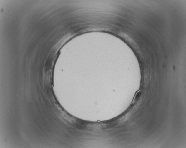 X0000062671185200601181853