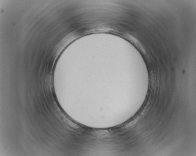 X0000062671186200601181853