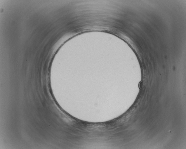 X0000062671187200601181853