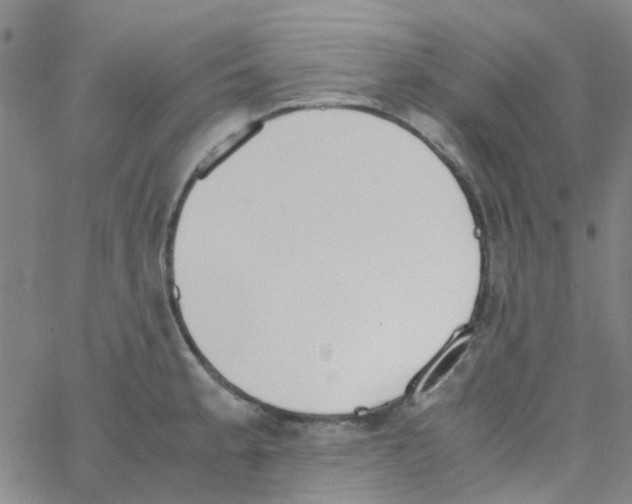 X0000062671189200601181853