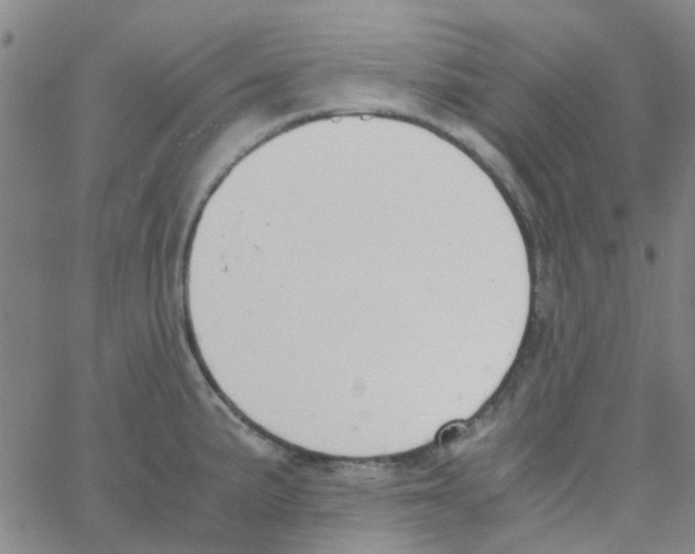 X0000062671191200601181853