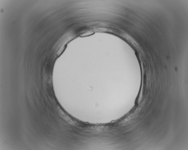 X0000062671193200601181853