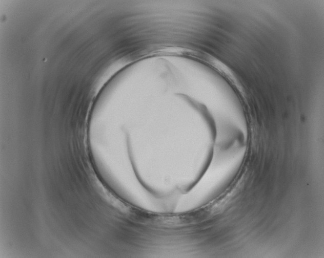 X0000062671194200601181853