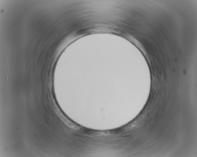 X0000062671195200601181853