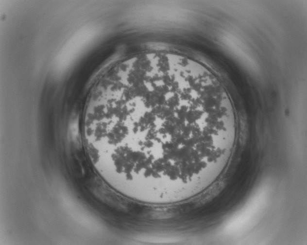 X0000062671198200601181853