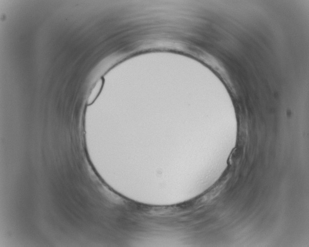 X0000062671199200601181852