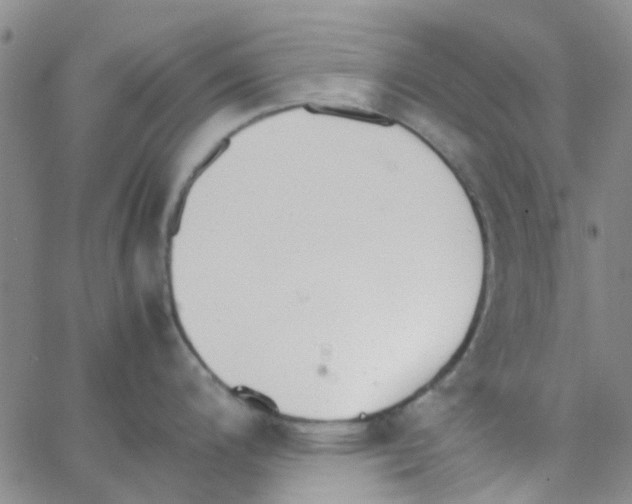 X0000062671200200601181852