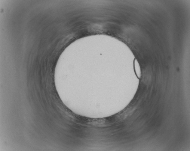 X0000062671201200601181852