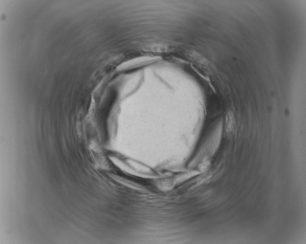 X0000062671202200601181852