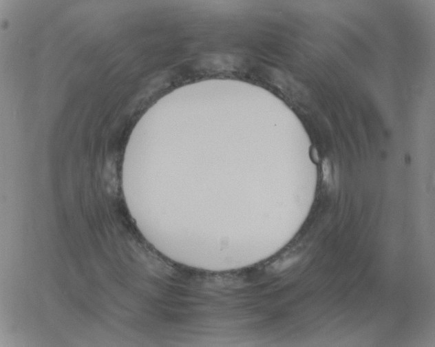 X0000062671203200601181852