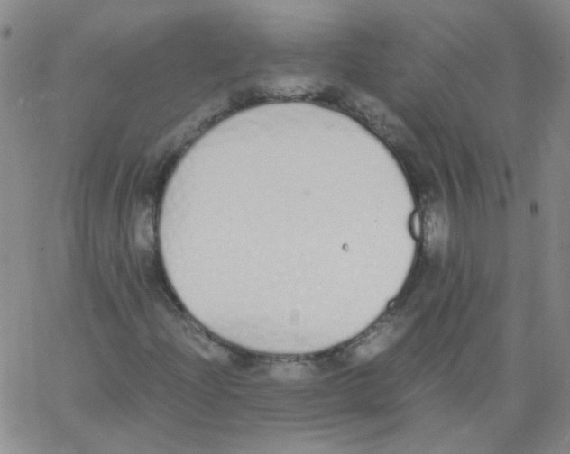 X0000062671204200601181852