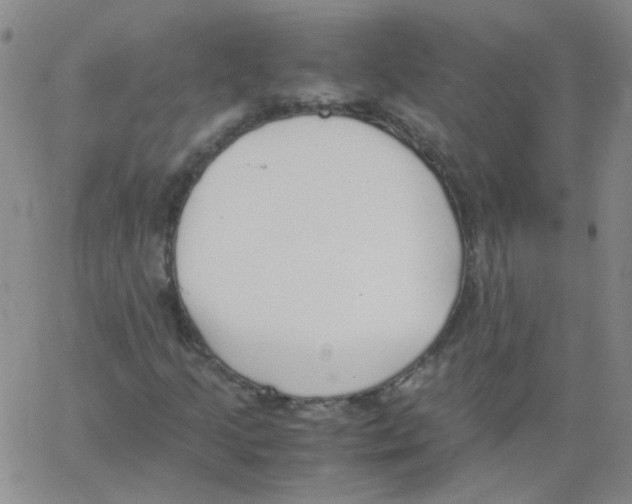 X0000062671205200601181852