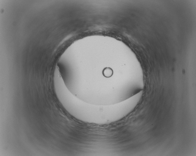 X0000062671206200601181852