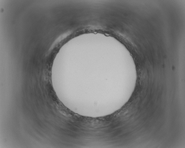 X0000062671207200601181852