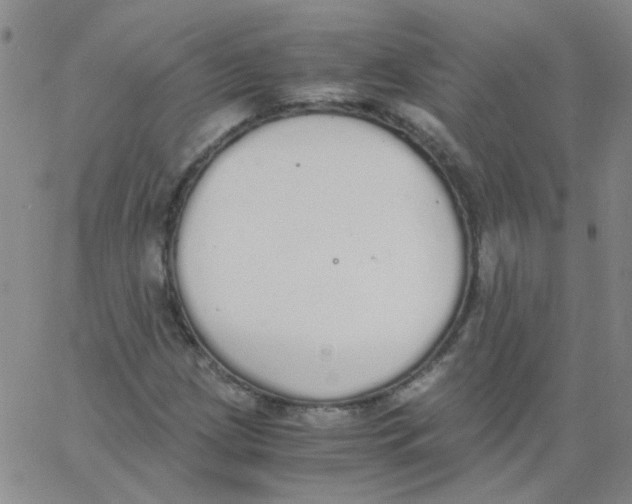 X0000062671209200601181852