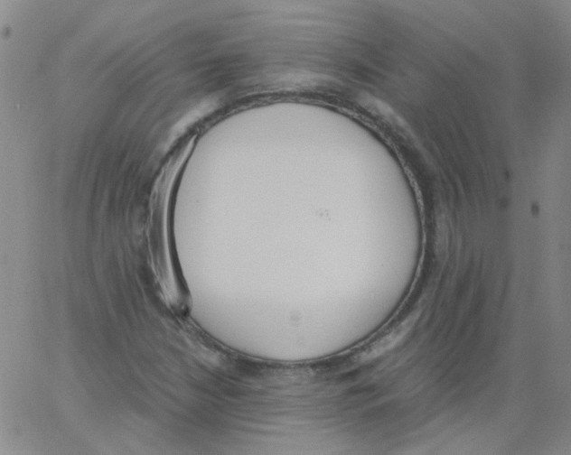 X0000062671210200601181852