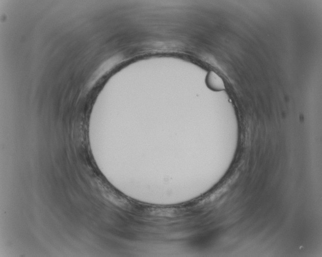 X0000062671211200601181852