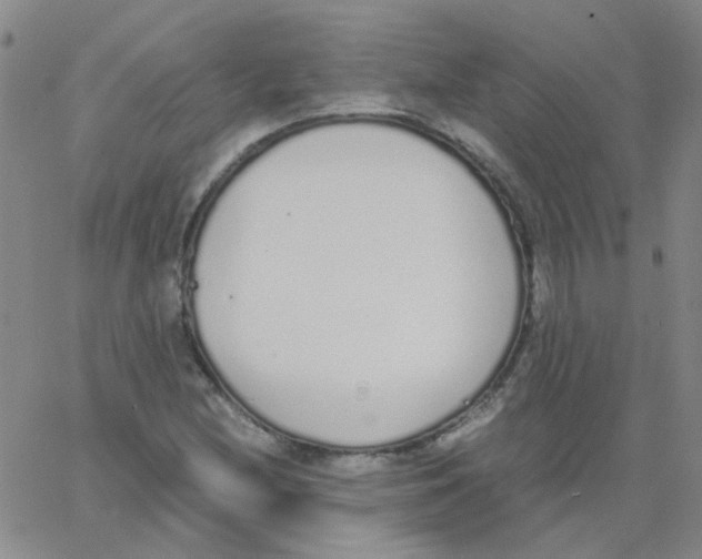 X0000062671212200601181852