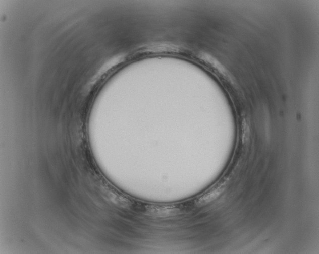 X0000062671213200601181852