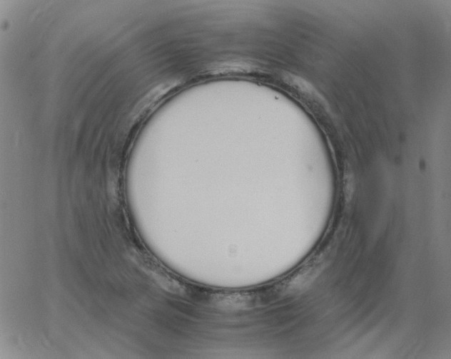 X0000062671217200601181852