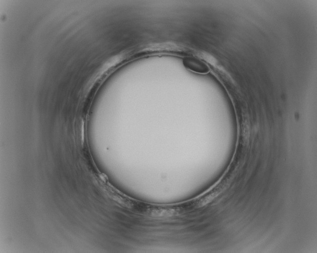 X0000062671221200601181852