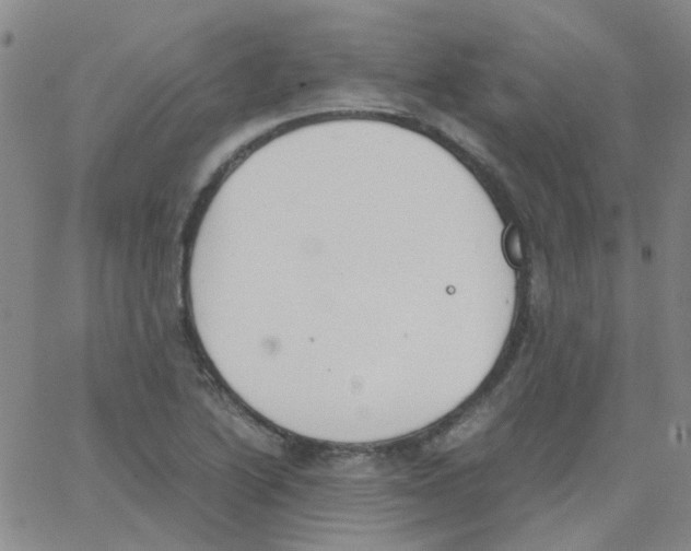 X0000062671222200601181852