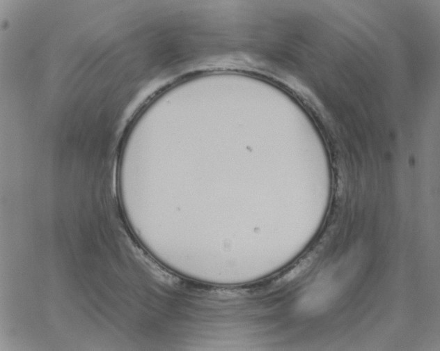 X0000062671224200601181852