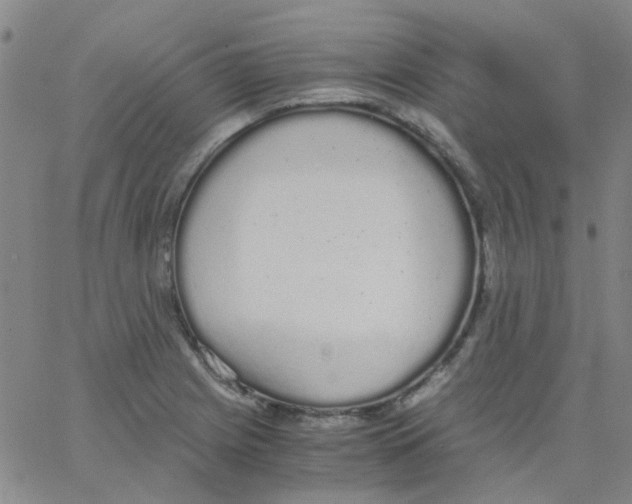 X0000062671225200601181852