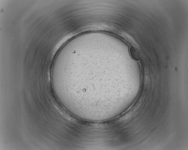 X0000062671226200601181852