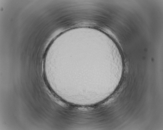 X0000062671227200601181852