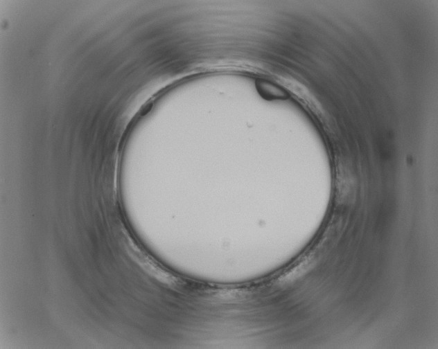 X0000062671228200601181852