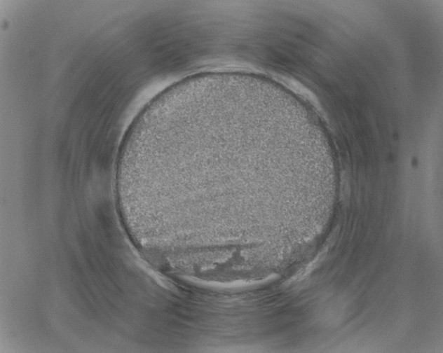 X0000062671231200601181852