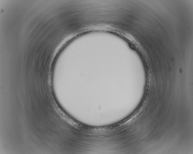 X0000062671232200601181852