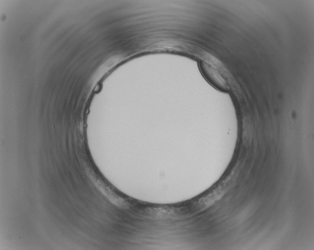 X0000062671234200601181852