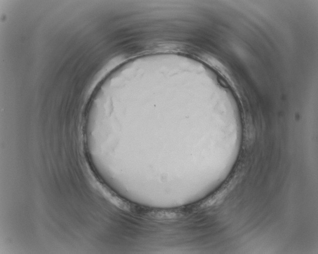 X0000062671235200601181852