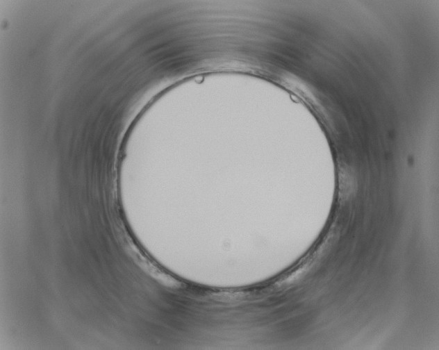 X0000062671236200601181852