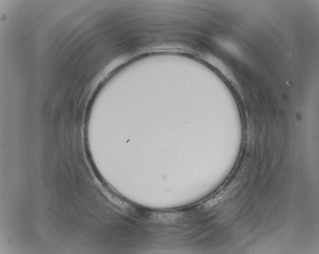 X0000062671237200601181852