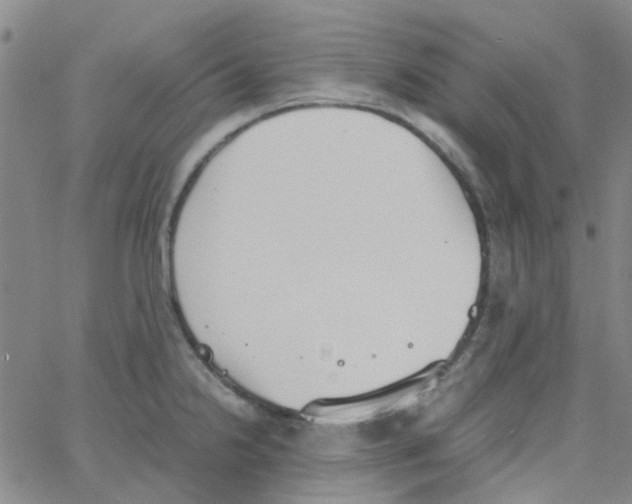 X0000062671238200601181852