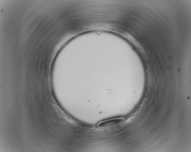 X0000062671240200601181852