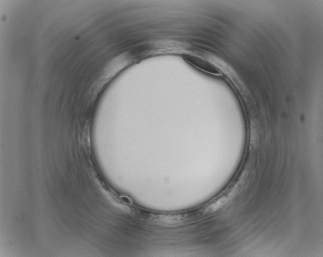 X0000062671241200601181852