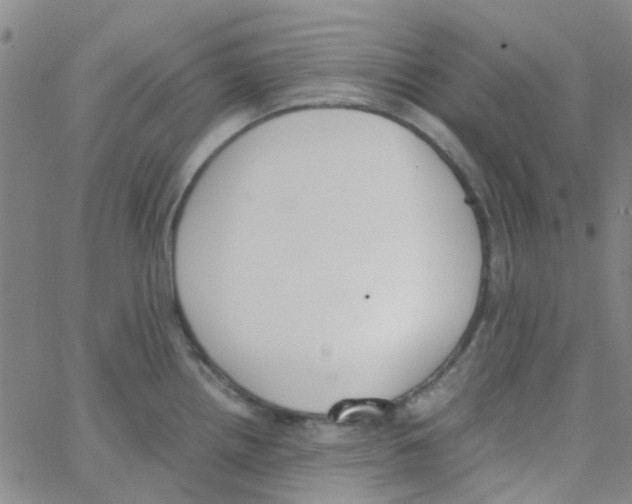 X0000062671242200601181852