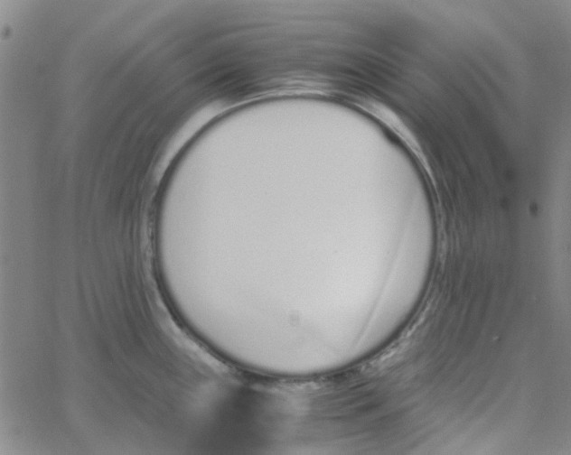 X0000062671243200601181852