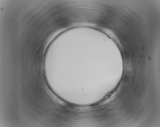 X0000062671244200601181852