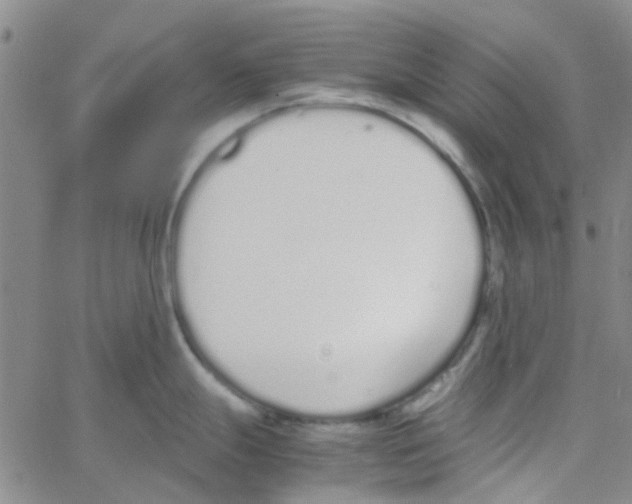 X0000062671247200601181852