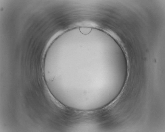 X0000062671248200601181852