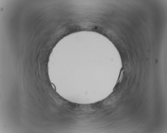 X0000062671249200601181852