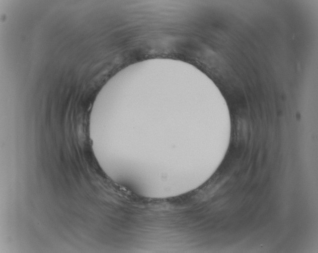 X0000062671250200601181852