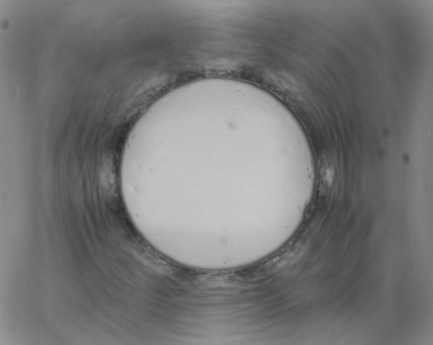 X0000062671252200601181852