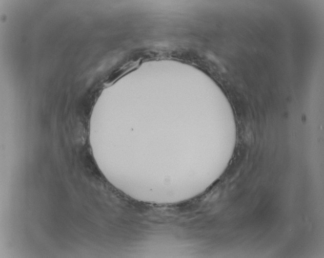 X0000062671253200601181852